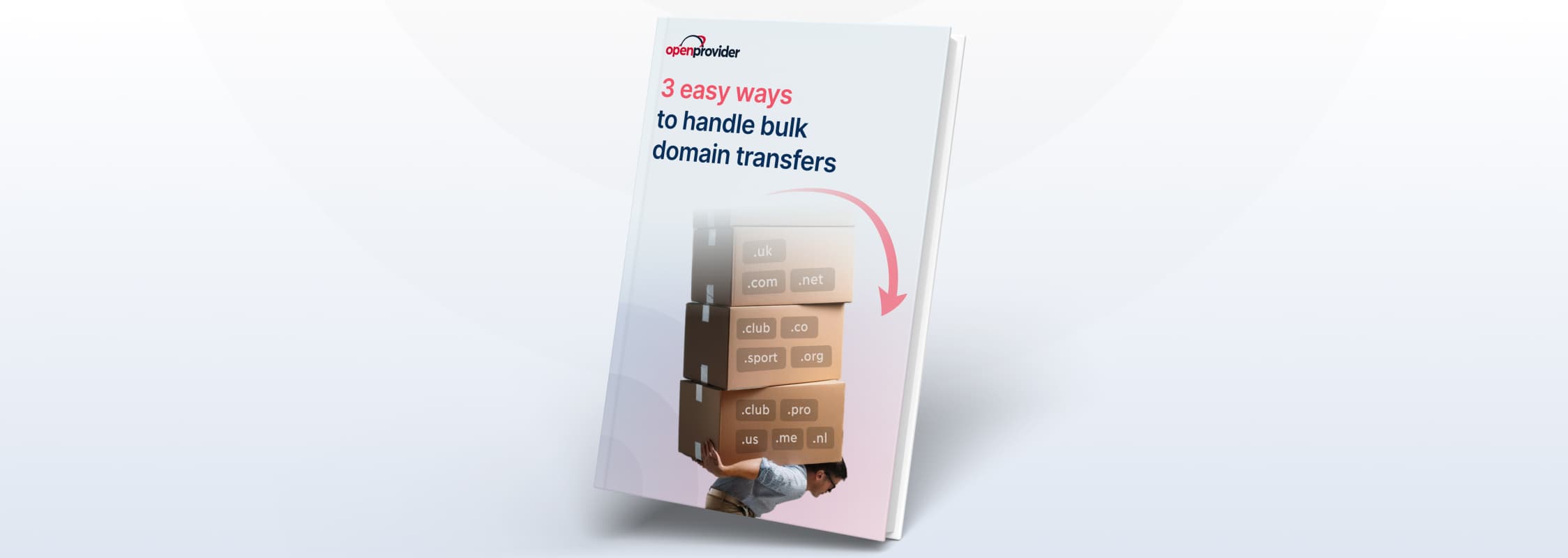 Bulk domain transfer guide