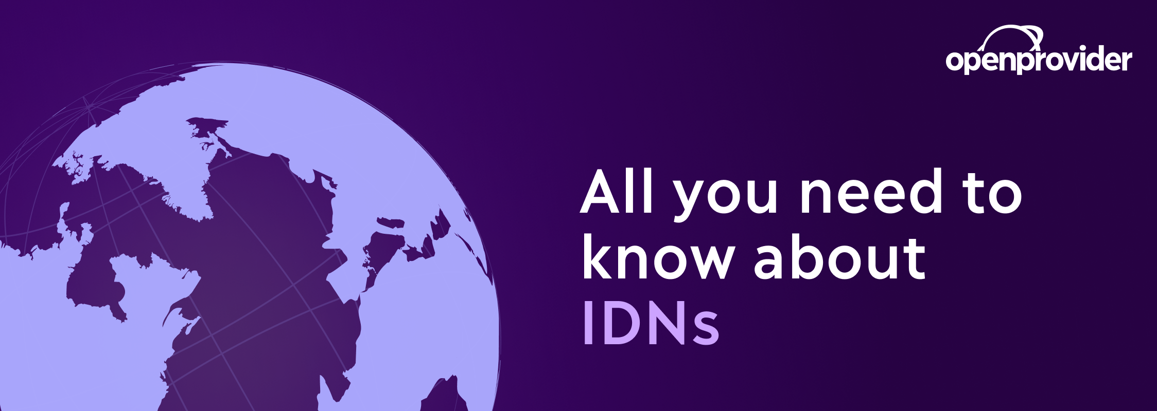 all you need to know about idns