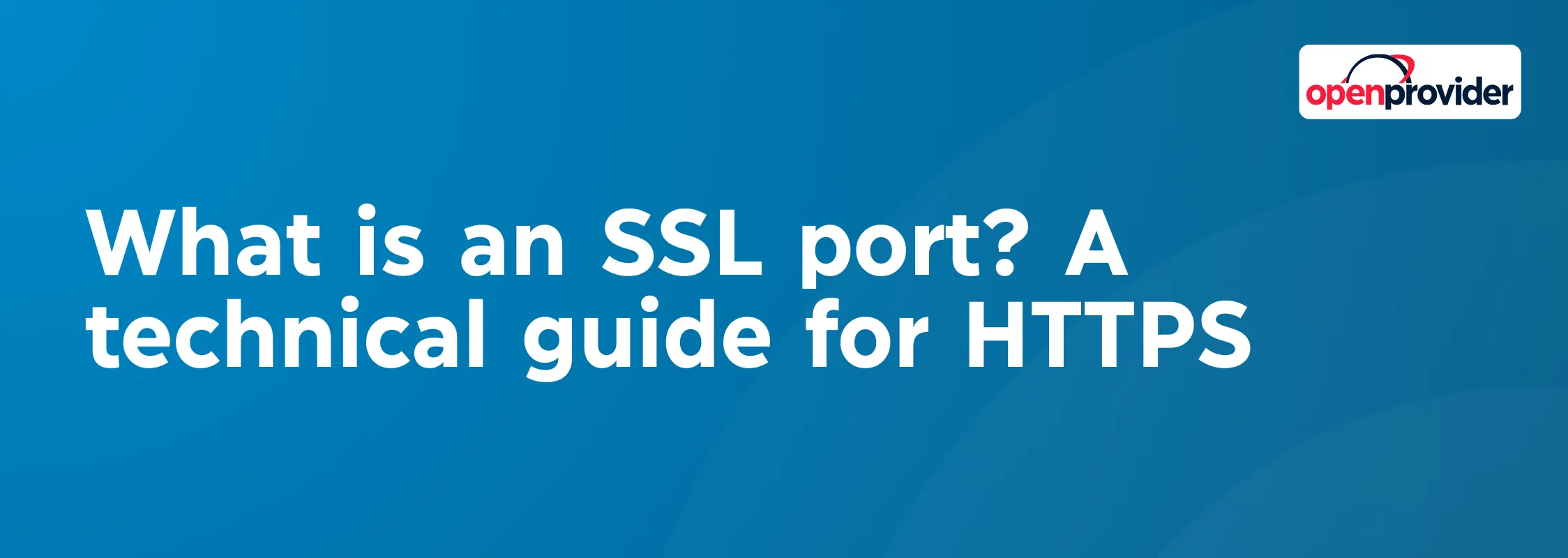 What is an SSL port? A technical guide for HTTPS