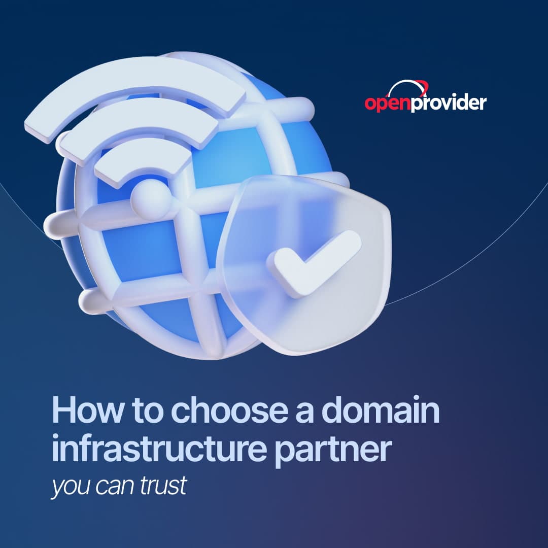 How to choose a domain infrastructure partner you can trust